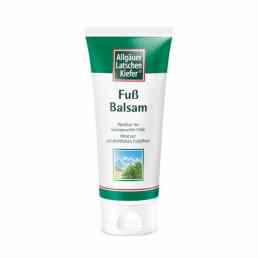 Allgauer Latschenkiefer