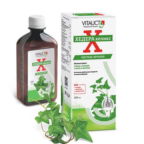 Хедера хеликс