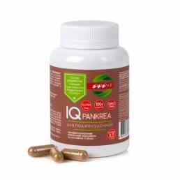 Айкью панкреа