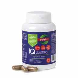 Айкью гастро