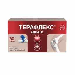 Терафлекс адванс