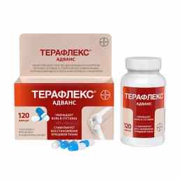 Терафлекс адванс