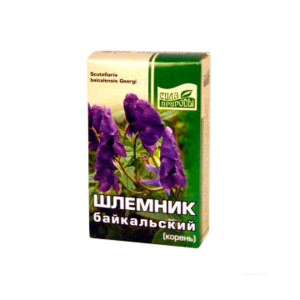 Чай шлемник байкальский