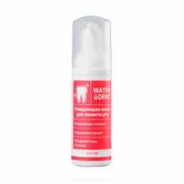 Waterdent Актив
