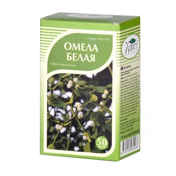 Омела белая