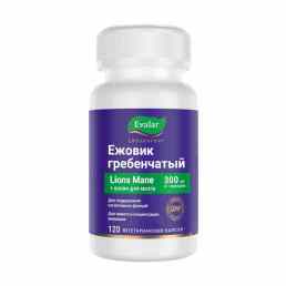 Ежовик гребенчатый