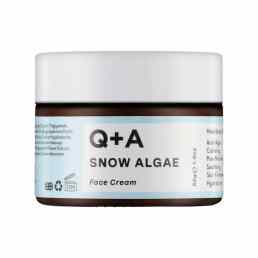 Q+A Snow Algae