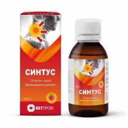 Синтус
