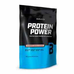 BioTechUSA Protein power Протеин