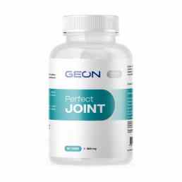 GEON Перфект Джоинт (Perfect Joint)