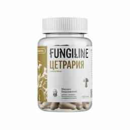 Цетрария (исландский мох) Fungiline