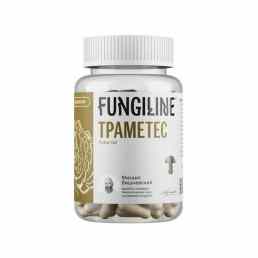Траметес разноцветный Fungiline